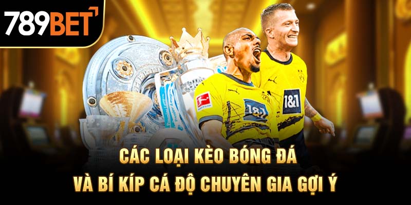 Các Loại Kèo Bóng Đá Và Bí Kíp