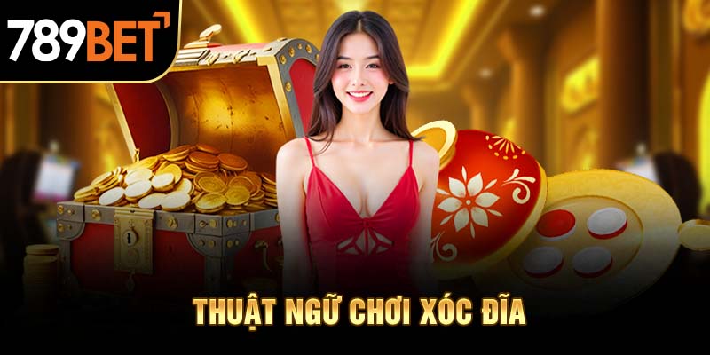 Một số thuật ngữ quan trọng về xóc đĩa