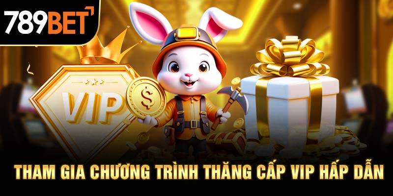 Tham gia chương trình thăng cấp VIP hấp dẫn